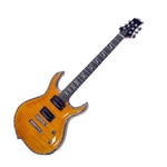 i migliori produttori di chitarre, fender, gibson, ibanez, esp, jackson, bcrich, ovation, yamaha, takamine